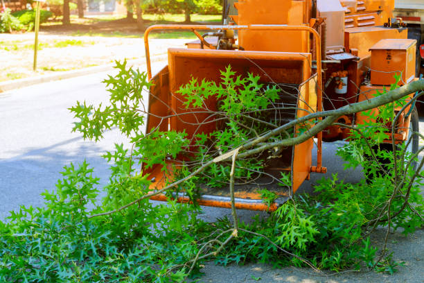 Soil Testing and Treatment in New Hampton, IA